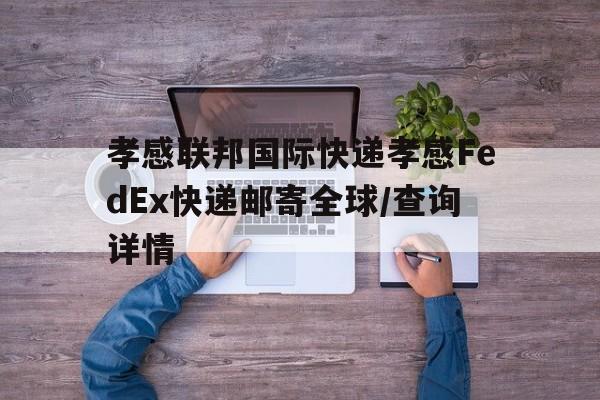 孝感聯邦國際快遞孝感FedEx快遞郵寄全球/查詢詳情