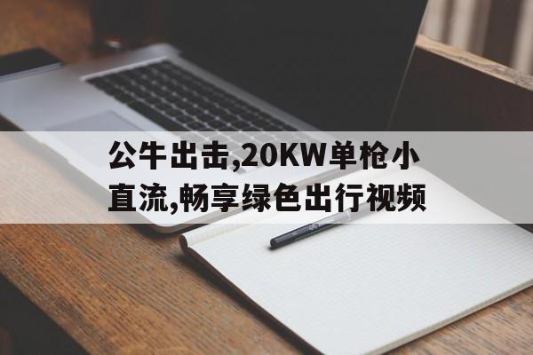 公牛出擊,20KW單槍小直流,暢享綠色出行視頻