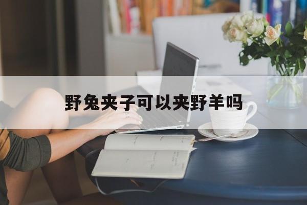 野兔夾子夾空怎么回事