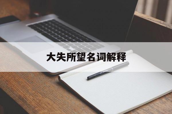 大失所望名詞解釋是什么