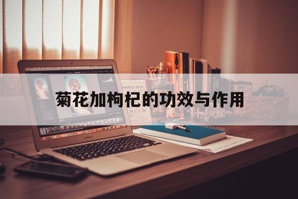玫瑰花加菊花加枸杞的功效與作用