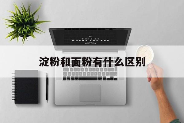 淀粉能用面粉代替嗎